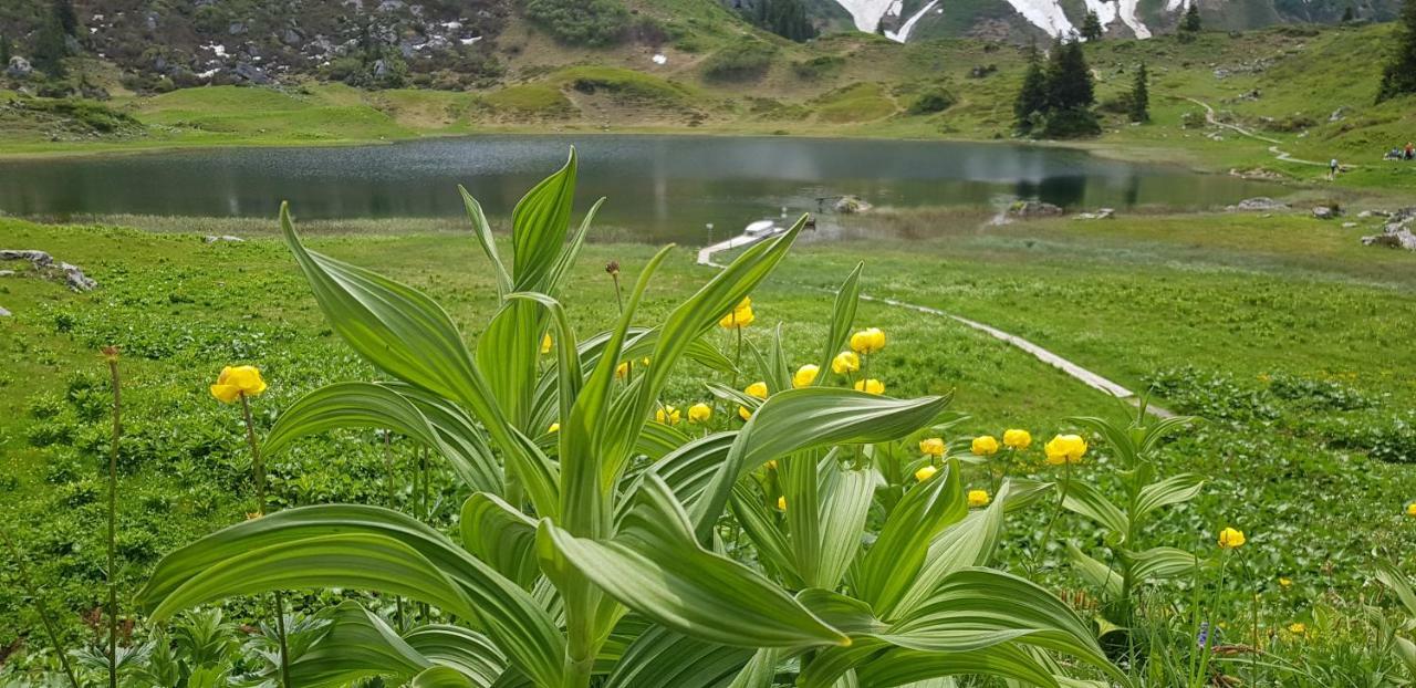 LechleitenResidenz Tirol公寓 外观 照片